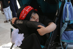 سوگواری شهادت امام محمد باقر(ع) در قم