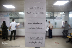 بازار عرضه دام سبک «آزادگان» شهرداری تهران در عید سعید قربان