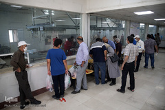 بازار عرضه دام سبک «آزادگان» شهرداری تهران در عید سعید قربان