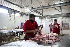 بازار عرضه دام سبک «آزادگان» شهرداری تهران در عید سعید قربان