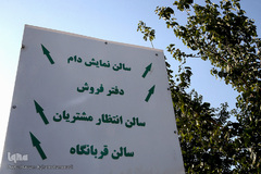 بازار عرضه دام سبک «آزادگان» شهرداری تهران در عید سعید قربان