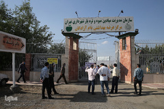 بازار عرضه دام سبک «آزادگان» شهرداری تهران در عید سعید قربان