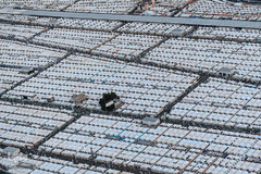 مناسک حج تاریخی امسال