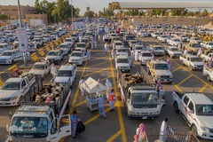 بازار فروش دام در عید سعید قربان کشورهای اسلامی