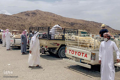 بازار فروش دام در عید سعید قربان کشورهای اسلامی