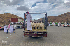 بازار فروش دام در عید سعید قربان کشورهای اسلامی