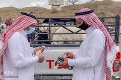 بازار فروش دام در عید سعید قربان کشورهای اسلامی