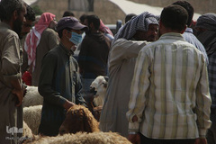 بازار فروش دام در عید سعید قربان کشورهای اسلامی