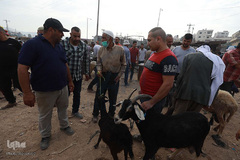 بازار فروش دام در عید سعید قربان کشورهای اسلامی