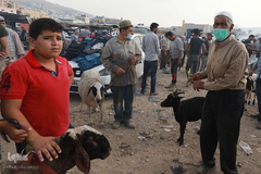 بازار فروش دام در عید سعید قربان کشورهای اسلامی