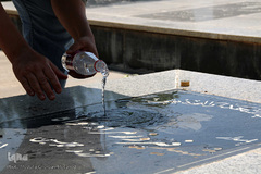 شهید نظر می‌کند به وجه اللّه‌