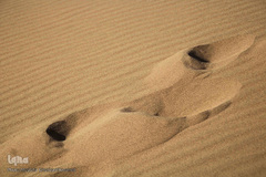 کویری گمشده در دل آذربایجان شرقی