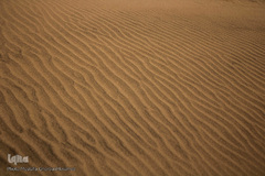 کویری گمشده در دل آذربایجان شرقی