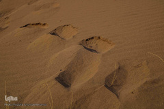 کویری گمشده در دل آذربایجان شرقی