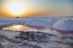 برداشت نمک از دریاچه «حوض سلطان» قم