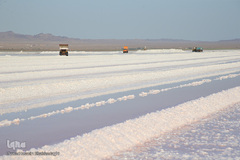 برداشت نمک از دریاچه «حوض سلطان» قم