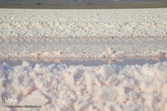 برداشت نمک از دریاچه «حوض سلطان» قم