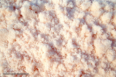 برداشت نمک از دریاچه «حوض سلطان» قم