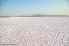 برداشت نمک از دریاچه «حوض سلطان» قم