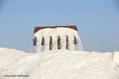 برداشت نمک از دریاچه «حوض سلطان» قم