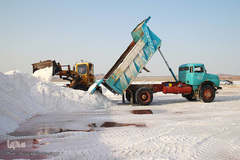 برداشت نمک از دریاچه «حوض سلطان» قم