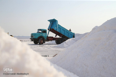 برداشت نمک از دریاچه «حوض سلطان» قم