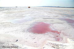 برداشت نمک از دریاچه «حوض سلطان» قم