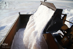 برداشت نمک از دریاچه «حوض سلطان» قم