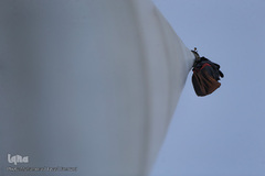 آیین "سلام بر محرم"، تعویض مرتفع ترین پرچم کشور