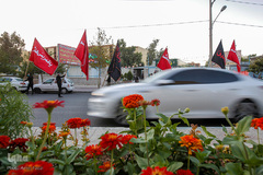 علم گردانی در شیراز‎