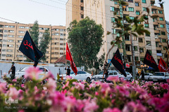 علم گردانی در شیراز‎