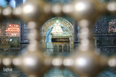 قم در عزای امام زین‌العابدین(ع)