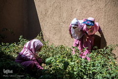 دهکده‌ صبح رویش و باغچه‌ای که بچه ‌ها مسئول آن هستند.