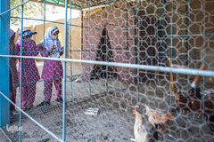 بهشتی میان جهنم فقر