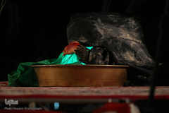 بزرگ‌ترین سفره نذری حضرت رقیه(س) در جوار حرم مطهر حضرت معصومه(س)