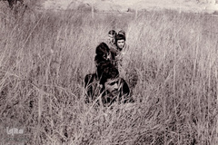 گل‌خاک شهیدان؛ غواصان بی نشان