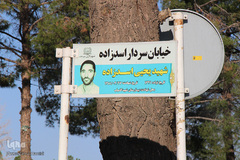 تمام شهر به نام «تو»