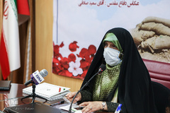 معصومه ابتکار، معاون امور زنان و خانواده ریاست جمهوری در نشست زنان و دفاع مقدس