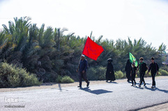 جلوه‌هایی زیبا، از خدمت‌رسانی به زائران اربعین در جنوب عراق