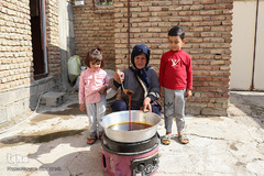 برداشت انگور از تاکستان های ملکان