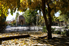 پاییز در سکوت/ مشهد مقدس