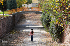 پاییز در سکوت/ مشهد مقدس