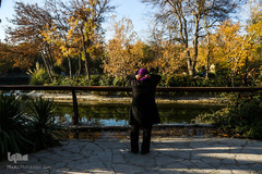 پاییز در سکوت/ مشهد مقدس