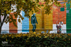 پاییز در سکوت/ مشهد مقدس