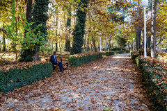 پاییز در سکوت/ مشهد مقدس