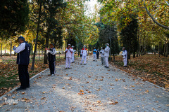 پاییز در سکوت/ مشهد مقدس