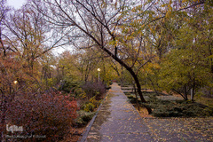 پاییز تبریز در فصل کرونا