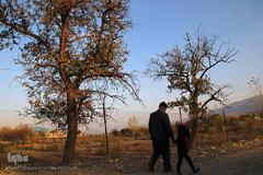 طبیعت پاییزی مناطق روستایی اهر