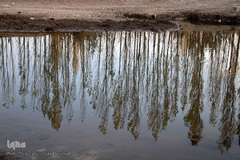 طبیعت پاییزی مناطق روستایی اهر