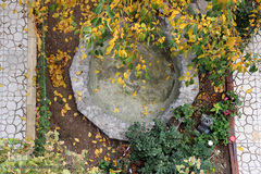 طبیعت پاییزی مناطق روستایی اهر